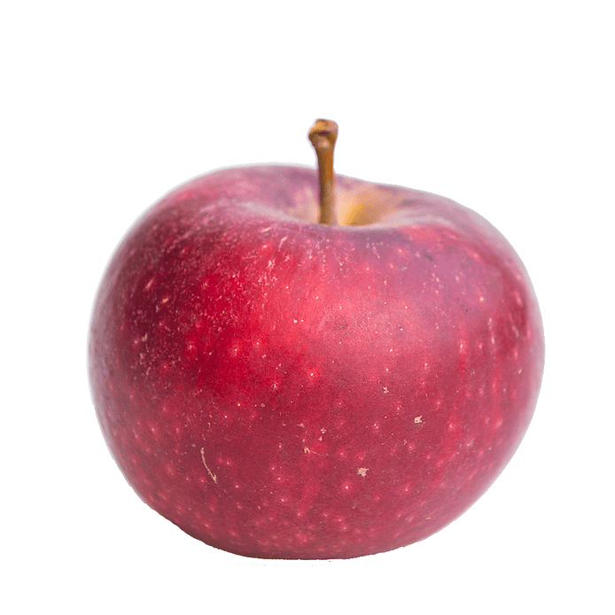 Æble - Ingrid Marie