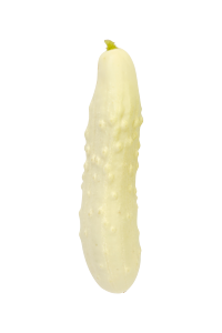 Agurk (Long White) - sprød og saftig
