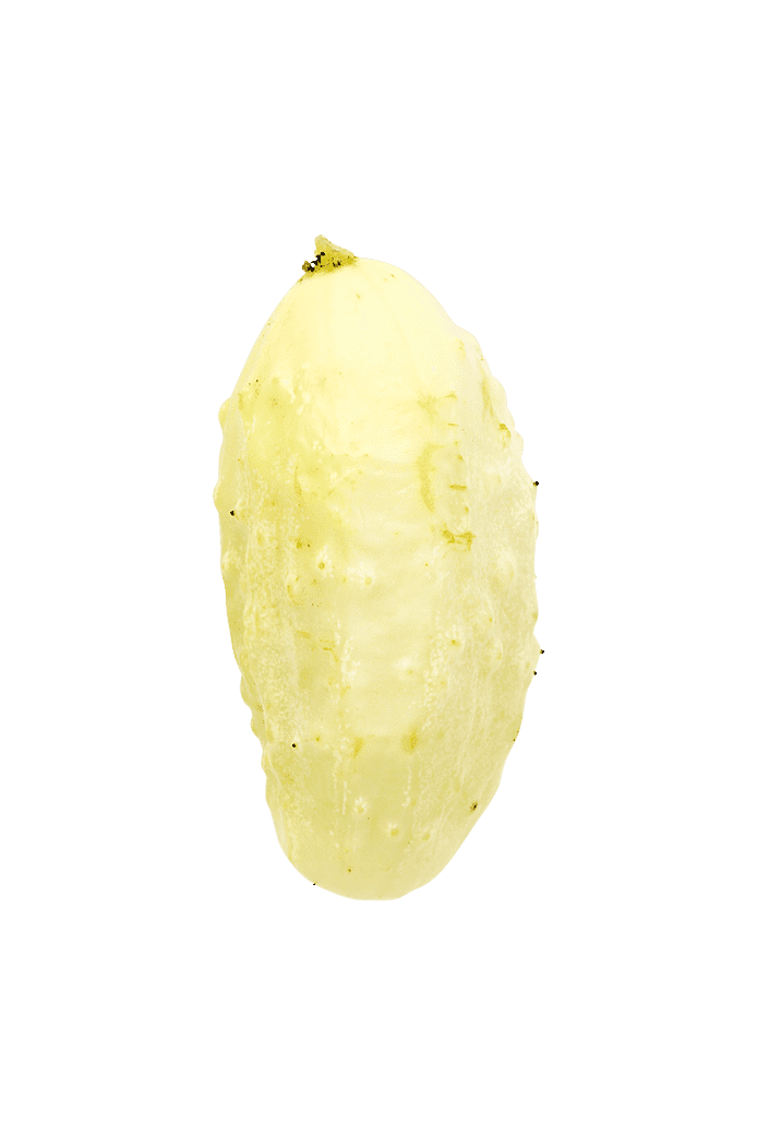 Agurk (Miniature White)