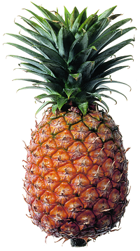 Ananas  – Frugternes konge