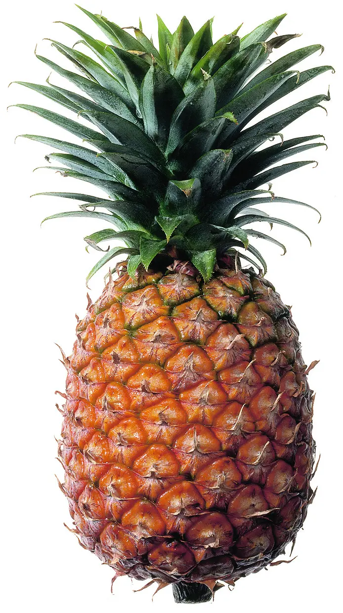 Ananas 