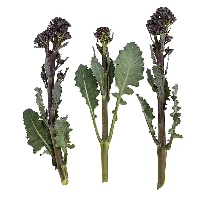 Aspargesbroccoli