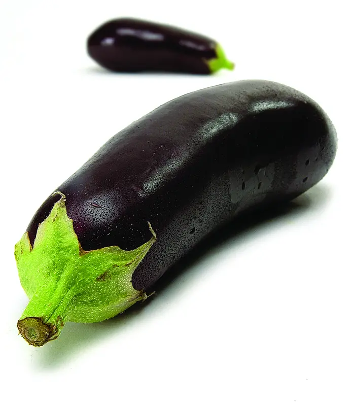 Aubergine