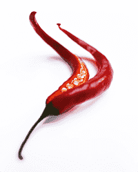 Chili – Some like it hot
