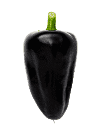 Chili (Hungarian Black) - behagelig chili
