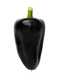 Chili (Hungarian Black) - behagelig chili