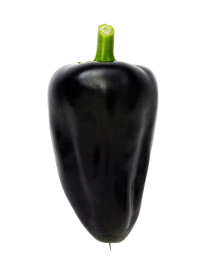 Chili (Hungarian Black)