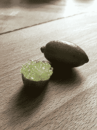 Finger lime også kendt som citruskaviar