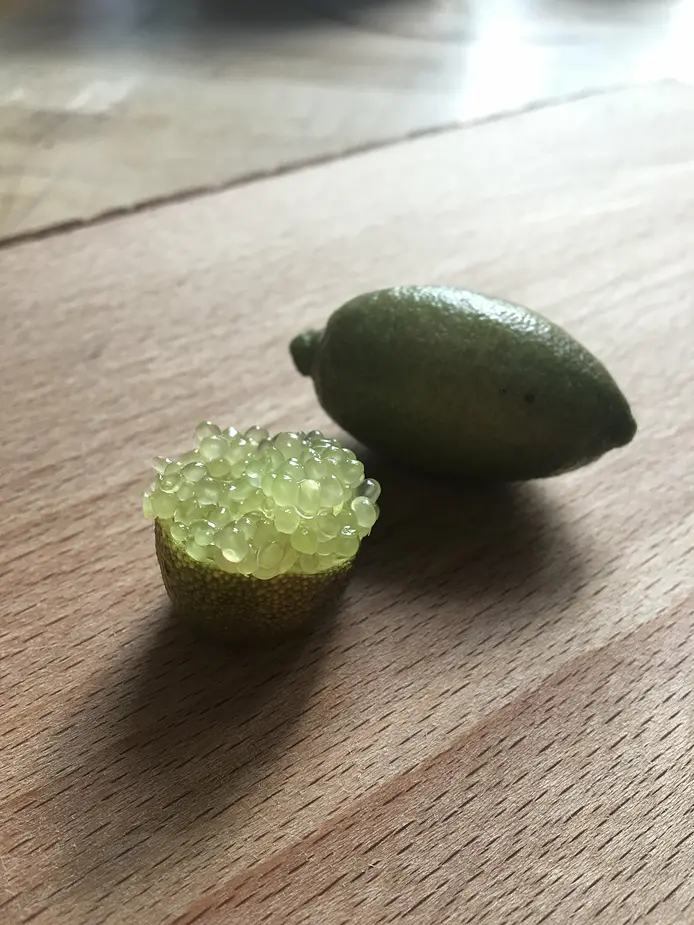 Finger lime