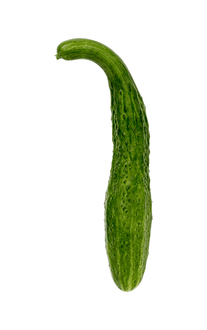 Kinesisk slangeagurk