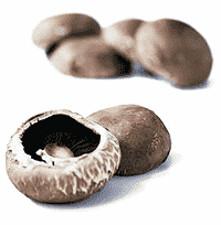 Portobello  – En forvokset champignon