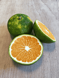 Satsuma En mild og frisk citrusfrugt