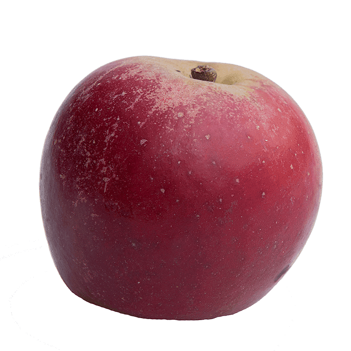 Äpple (Elise)
