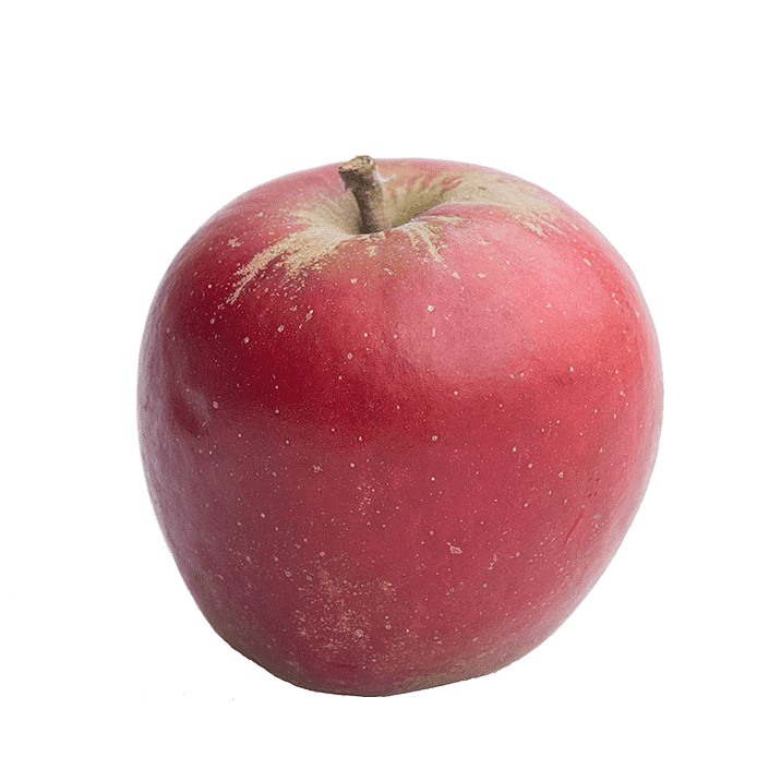 Äpple (Holsteiner Cox)