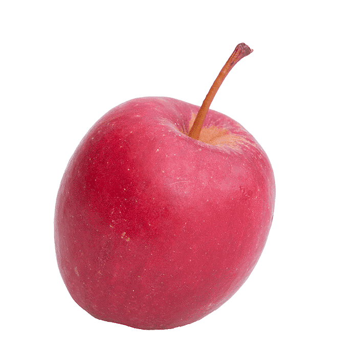 Äpple (Pigeon)