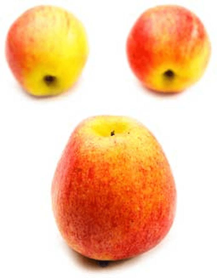 Äpple (Royal Gala)