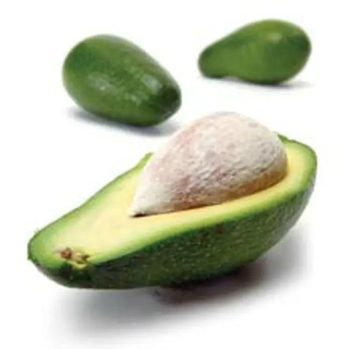 Avokado