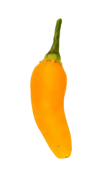 Chili (Aji amarillo)