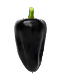 Chili (Hungarian Black)