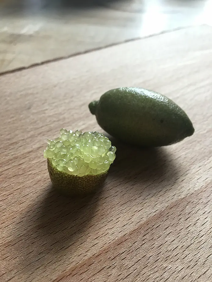 Fingerlime (Citrus australasica)