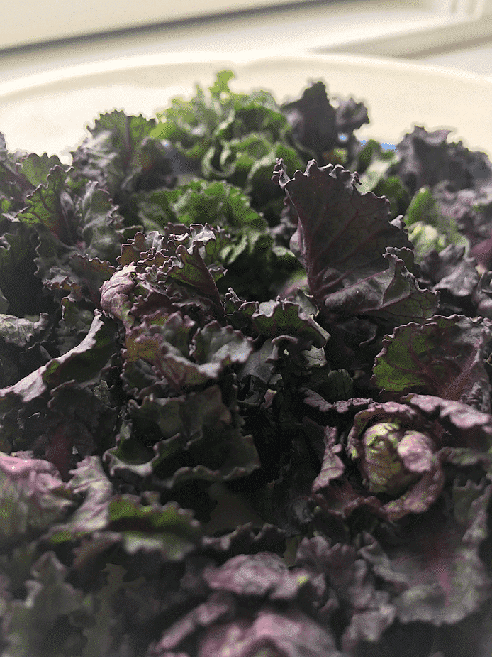 Rosettkål (flower sprouts)