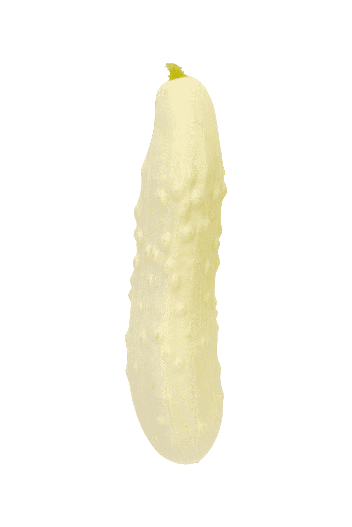 Gurka (Long white)