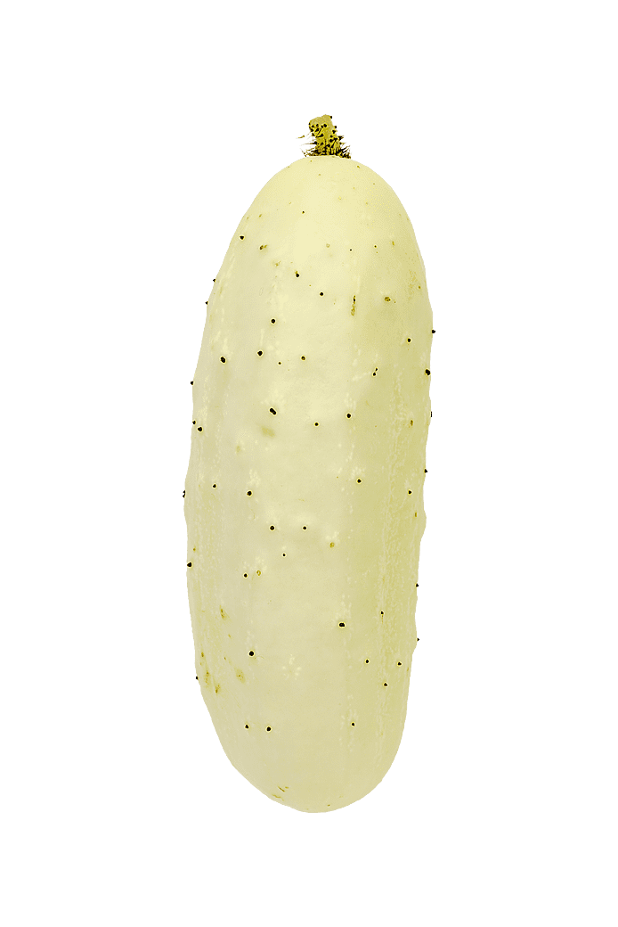Gurka (Salt 'n' Pepper)