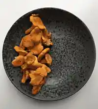 Kantareller