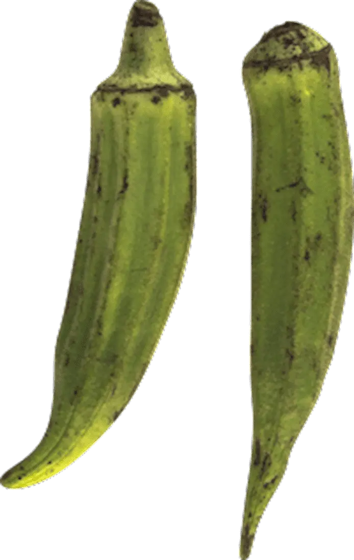 Okra