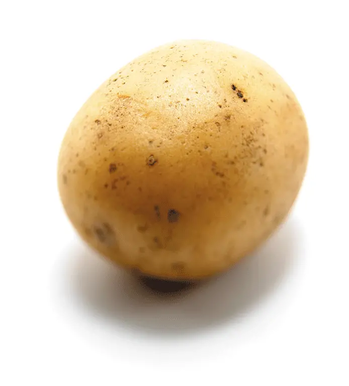 Potatis