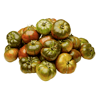 RAF-tomat
