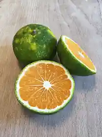 Satsuma