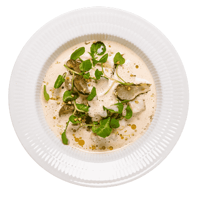 Vegetariska Nyårskassen