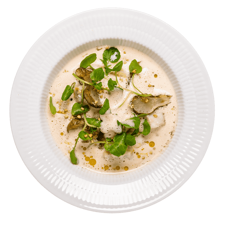 Vegetariska Nyårskassen