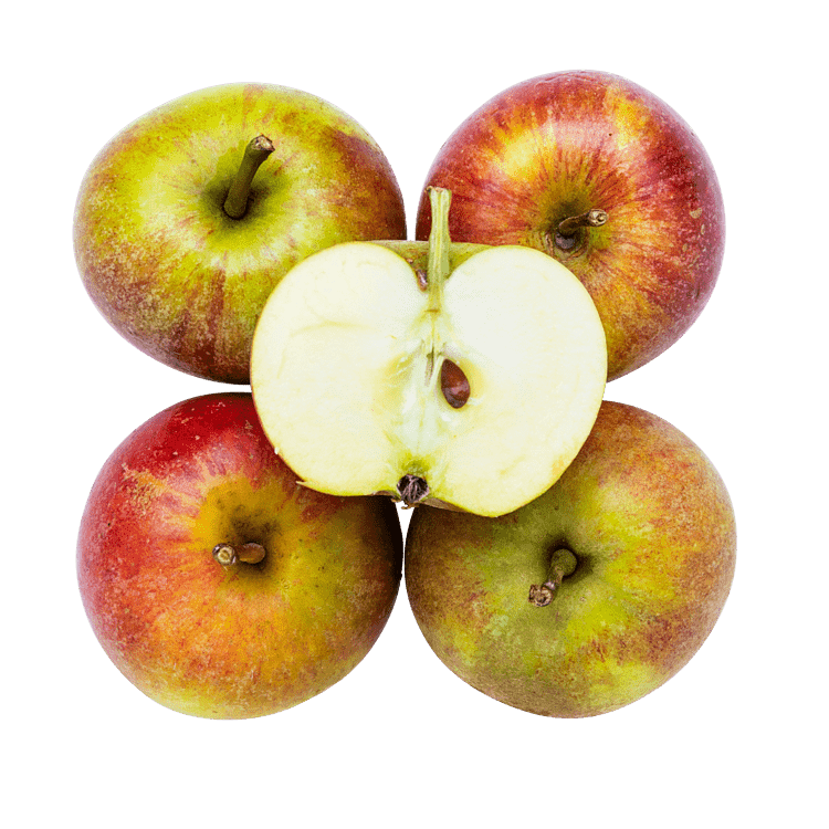 Æbler – Cox Orange