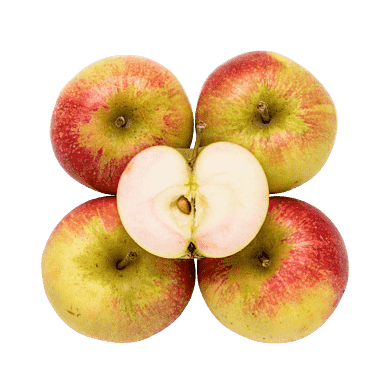 Æbler – Pyros