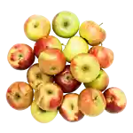 ÆblePosen