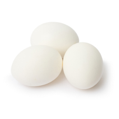 Ägg