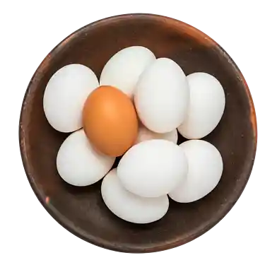 Ägg