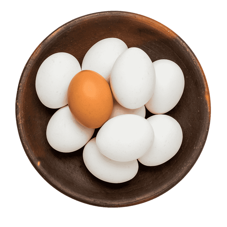 Ägg