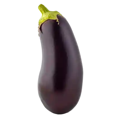 Aubergine