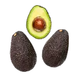 Avocado, formodnet