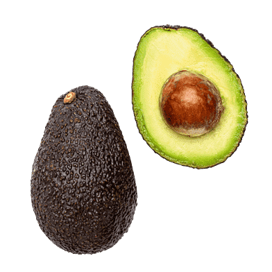 Avocado, formodnet
