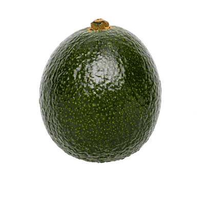 Reed-avocado, umoden