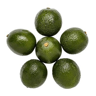 Reed-avocadoer i kasse