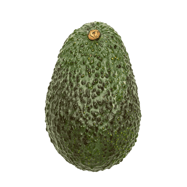 Avokado - Omogen