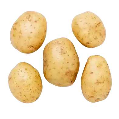 Bakpotatis