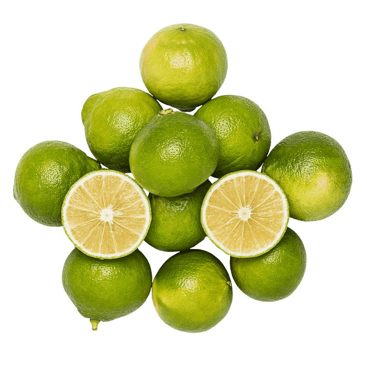 BergamottePosen