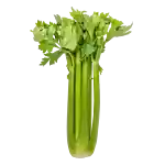 Bladselleri (DK)