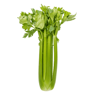 Bladselleri